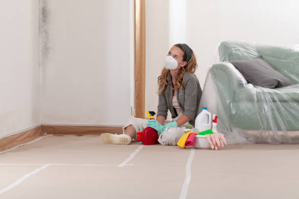 Reliable Mold Testing contractor in Long Beach, WA by WQB Mold Removal